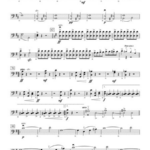 Fiddle Faddle for Soloist And String Orchestra Cello By Leroy