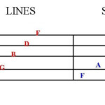 The Treble Clef Self Taught Guitar Lessons