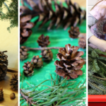 10 Evergreen Tree Activities For Preschoolers Fun A Day