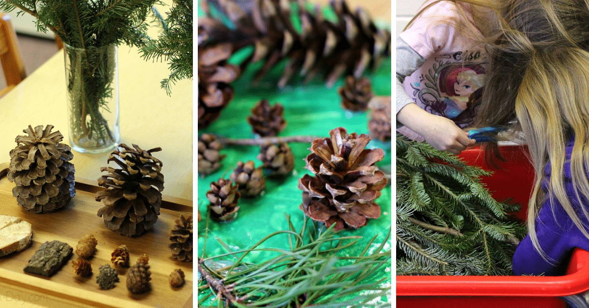 10 Evergreen Tree Activities For Preschoolers Fun A Day 