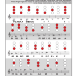 Basic Fingering Chart Cornet Trumpet Mellophone Alto Horn