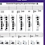 Clarinet Fingering Chart Beginners To Professional