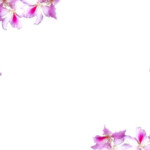 Floral Border With Flowers Backgrounds For Powerpoint Templates PPT