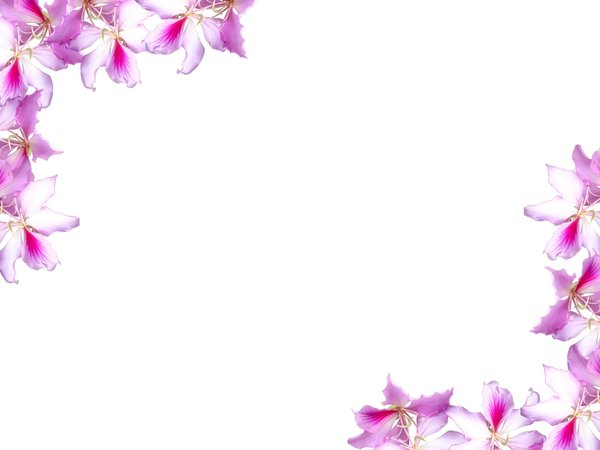 Floral Border With Flowers Backgrounds For Powerpoint Templates PPT 