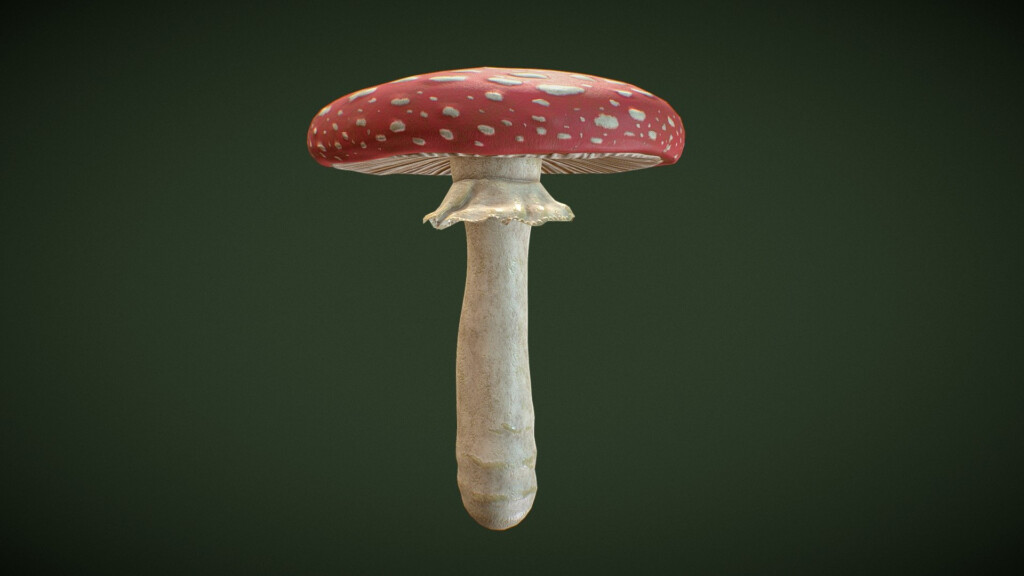 Fly Agaric Mushroom Download Free 3D Model By Timothy Hsu 