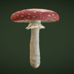 Fly Agaric Mushroom Download Free 3D Model By Timothy Hsu