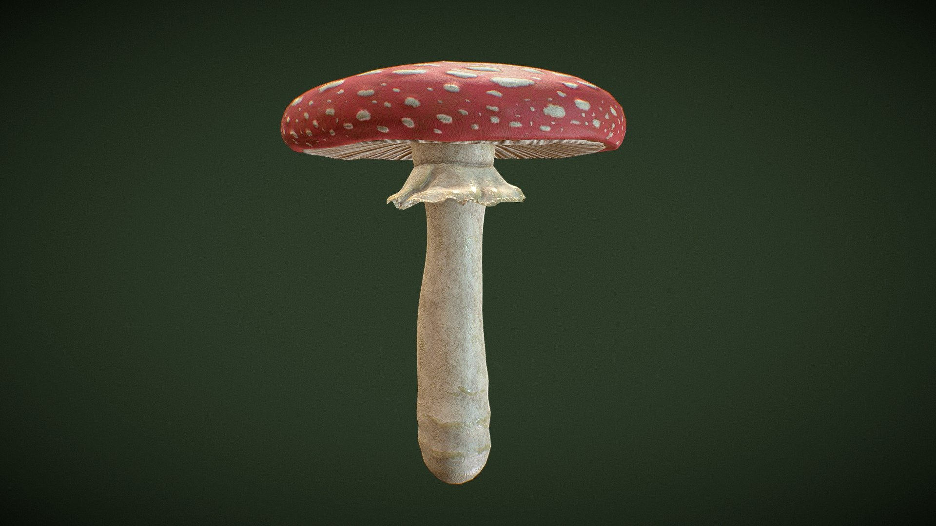 Fly Agaric Mushroom Download Free 3D Model By Timothy Hsu