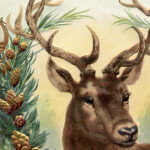 Free Vintage Christmas Image Deer The Graphics Fairy