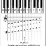 Music Note Flashcards Printable That Are Hilaire Derrick Website