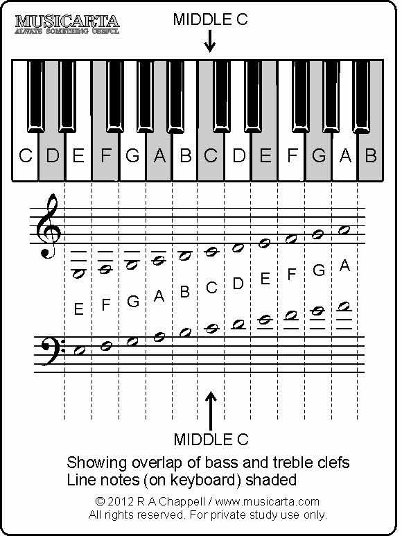 Music Note Flashcards Printable That Are Hilaire Derrick Website