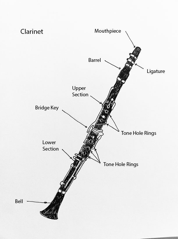 Pin On Music Wind Instruments